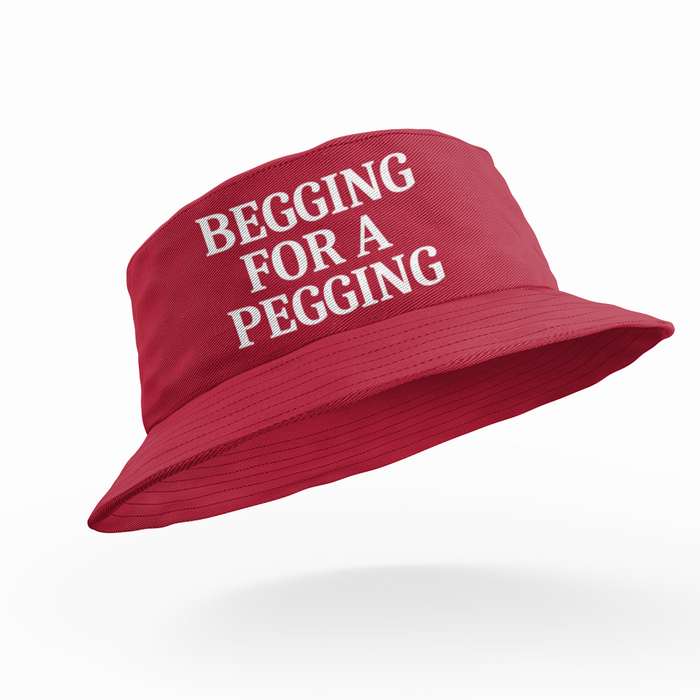 Begging For A Pegging