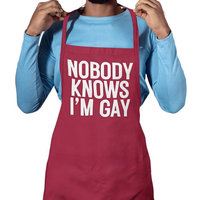 Nobody Knows I'm Gay