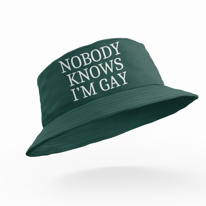 Nobody Knows I'm Gay