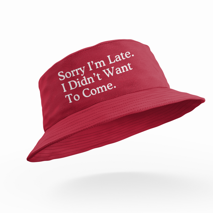 Sorry I'm Late. I Didn't Want To Come